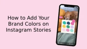 How to Add Your Brand Colors on Instagram Stories
